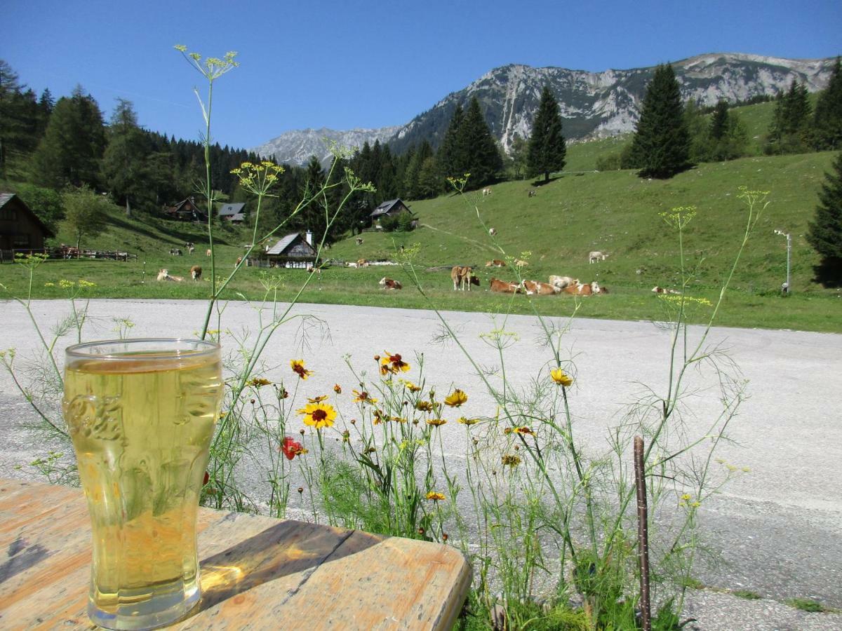 Almgasthaus Seebergalm Turnau Exterior foto